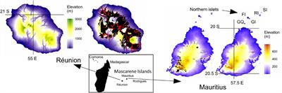 Forests Without Frugivores and Frugivores Without Forests – An Investigation Into the Causes of a Paradox in One of the Last Archipelagos Colonized by Humans